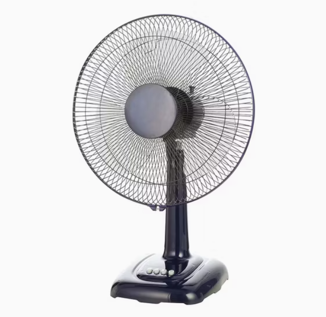 2904